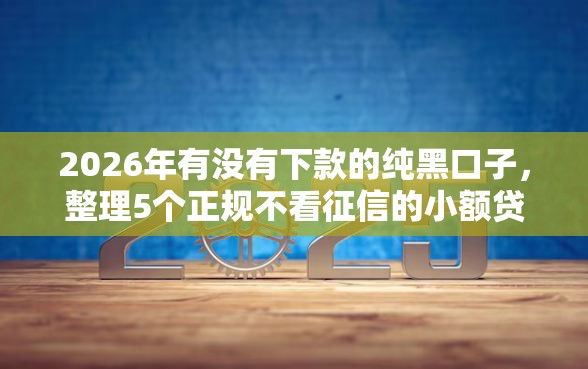 2026年有没有下款的纯黑口子,整理5个正规不看征信的小额贷款平台-借钱网