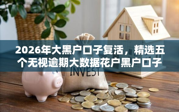 2026年大黑户口子复活,精选五个无视逾期大数据花户黑户口子-借钱网