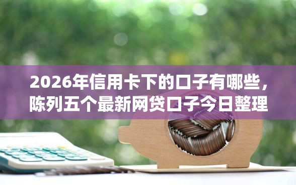 2026年信用卡下的口子有哪些，陈列五个最新网贷口子app-借钱网