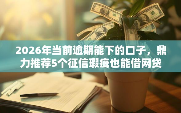2026年当前逾期能下的口子,鼎力推荐5个征信瑕疵也能借网贷-借钱网